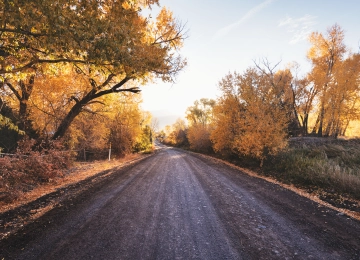 公路旅行,运输,街,土路,性质,壁纸,3840x2400  3840x2400