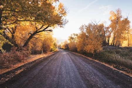 公路旅行,运输,街,土路,性质,壁纸,3840x2400 3840x2400