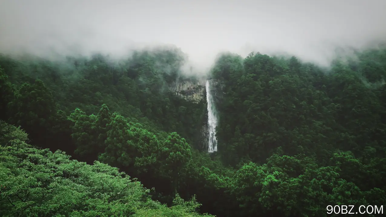 森林 风景 瀑布 薄雾  电脑壁纸 4K壁纸