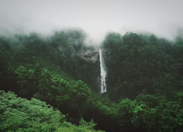 森林 风景 瀑布 薄雾  电脑壁纸 4K壁纸  4352x2448