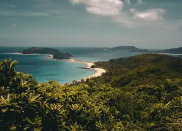 景观 岛屿 自然 森林 海滩 海洋 云 4K壁纸  5184x3456