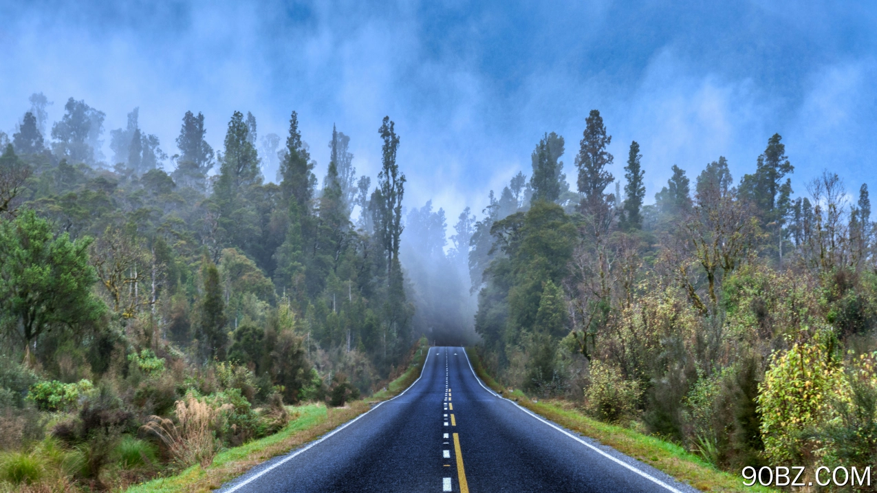 摄影 道路 树木 薄雾 云 自然  电脑壁纸 4K壁纸