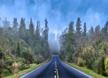 摄影 道路 树木 薄雾 云 自然  电脑壁纸 4K壁纸  3840x2160