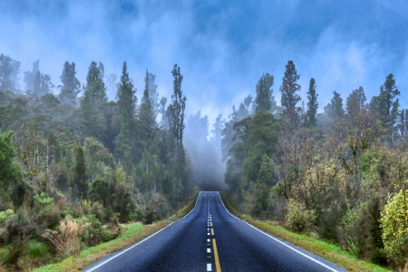 摄影 道路 树木 薄雾 云 自然  电脑壁纸 4K壁纸 3840x2160