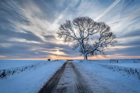 自然 景观 天空 冬天 冷 冰 雪 路 户外 4K壁纸 3840x2160