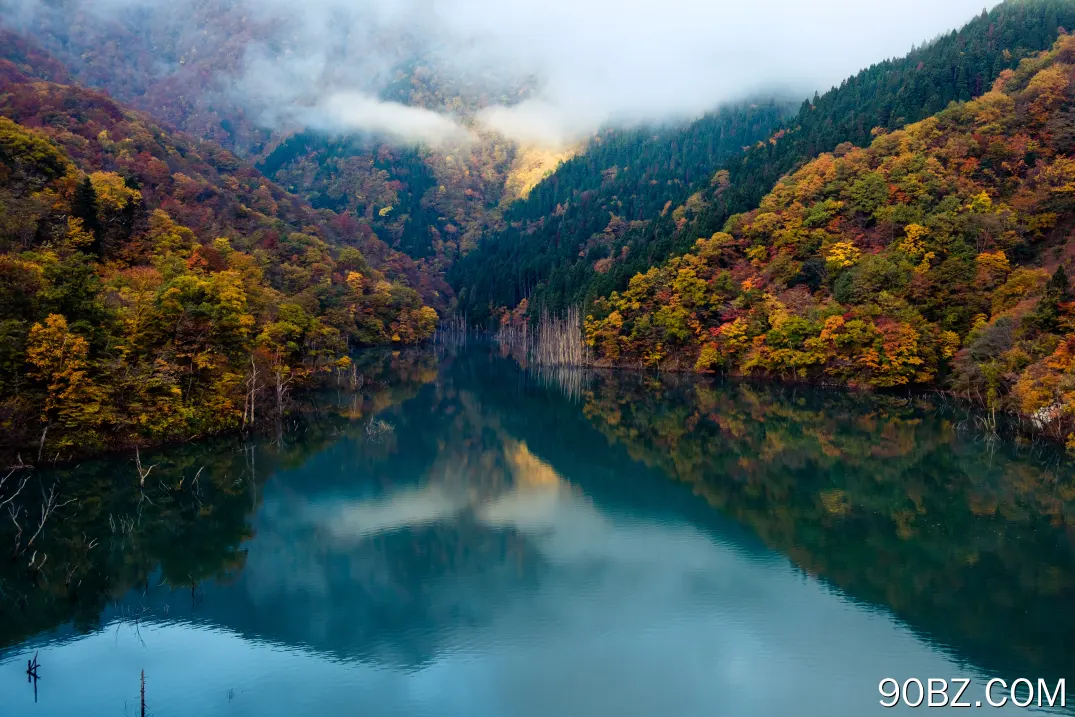 森林 河流 水 自然 风景 云  电脑壁纸 4K壁纸