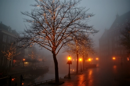 圣诞 彩灯 潮 薄雾 水 树木 建筑 灯光 摄影 城镇 黑暗 夜晚 阴天 倒影 阴郁 4K壁纸 3872x2592
