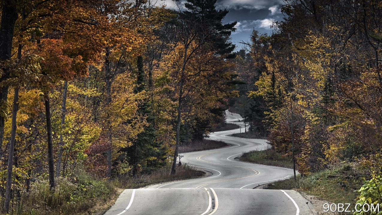 自然 树木 道路 深林 秋天 树叶 电脑壁纸 4K壁纸