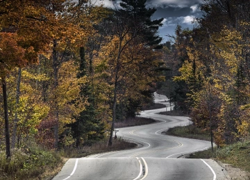 自然 树木 道路 深林 秋天 树叶 电脑壁纸 4K壁纸  3840x2160