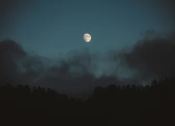 自然 云彩 松树 森林 月亮 月光 夜晚 天空 4K壁纸  4096x2731