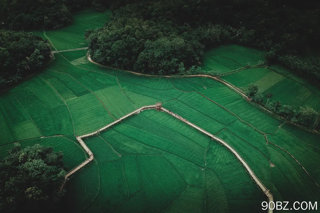 风景 鸟瞰 农场 树木 田野 草地 森林 自然 远景 绿色 4K壁纸