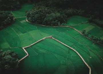 风景 鸟瞰 农场 树木 田野 草地 森林 自然 远景 绿色 4K壁纸  3968x2645