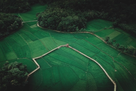 风景 鸟瞰 农场 树木 田野 草地 森林 自然 远景 绿色 4K壁纸 3968x2645