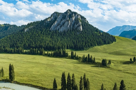 田野 森林 自然 风景 山脉 4K壁纸 5000x2809