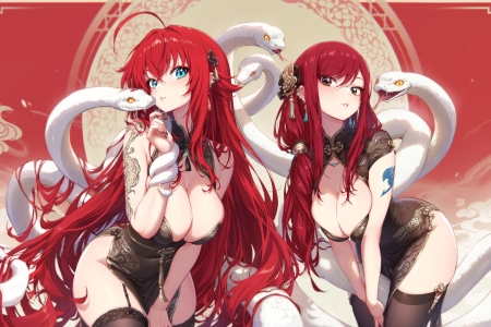 赤红 Erza 与 绯色 Rias 的 异界 交汇 3500x1750