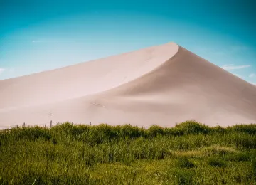 沙子 自然 景观 植物 草 沙丘 蓝天 电脑壁纸 4K壁纸  6000x4000