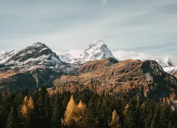 风景 山脉 雪 森林 自然 4K壁纸  4608x3072