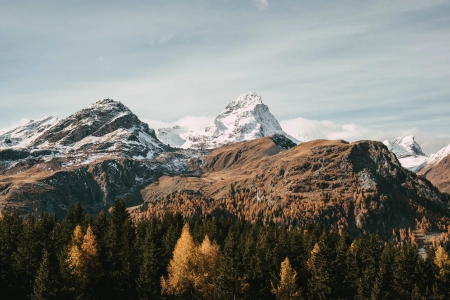 风景 山脉 雪 森林 自然 4K壁纸 4608x3072