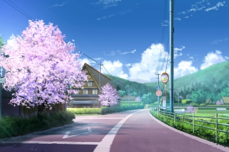 动漫 樱花 道路 风景 城镇  电脑壁纸 4K壁纸 5120x2880