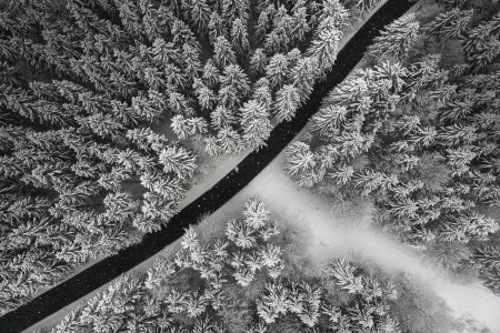 自然 摄影 风景 森林 道路 雪 树  4K壁纸 3968x2976