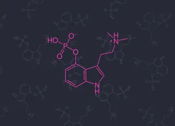 药物 化学 分子模型 迷幻 极简主义 五颜六色 神奇的蘑菇 蘑菇 裸盖菇素  4K壁纸  5120x2880