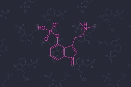 药物 化学 分子模型 迷幻 极简主义 五颜六色 神奇的蘑菇 蘑菇 裸盖菇素  4K壁纸 5120x2880