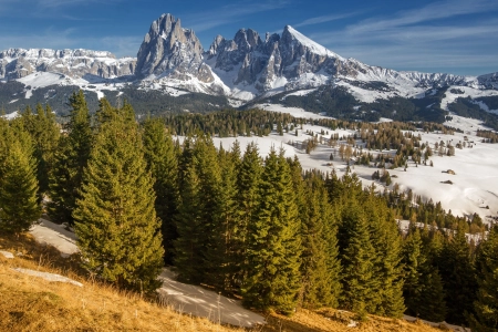自然 风景 山脉 树木 雪  电脑壁纸 4K壁纸 4652x2653
